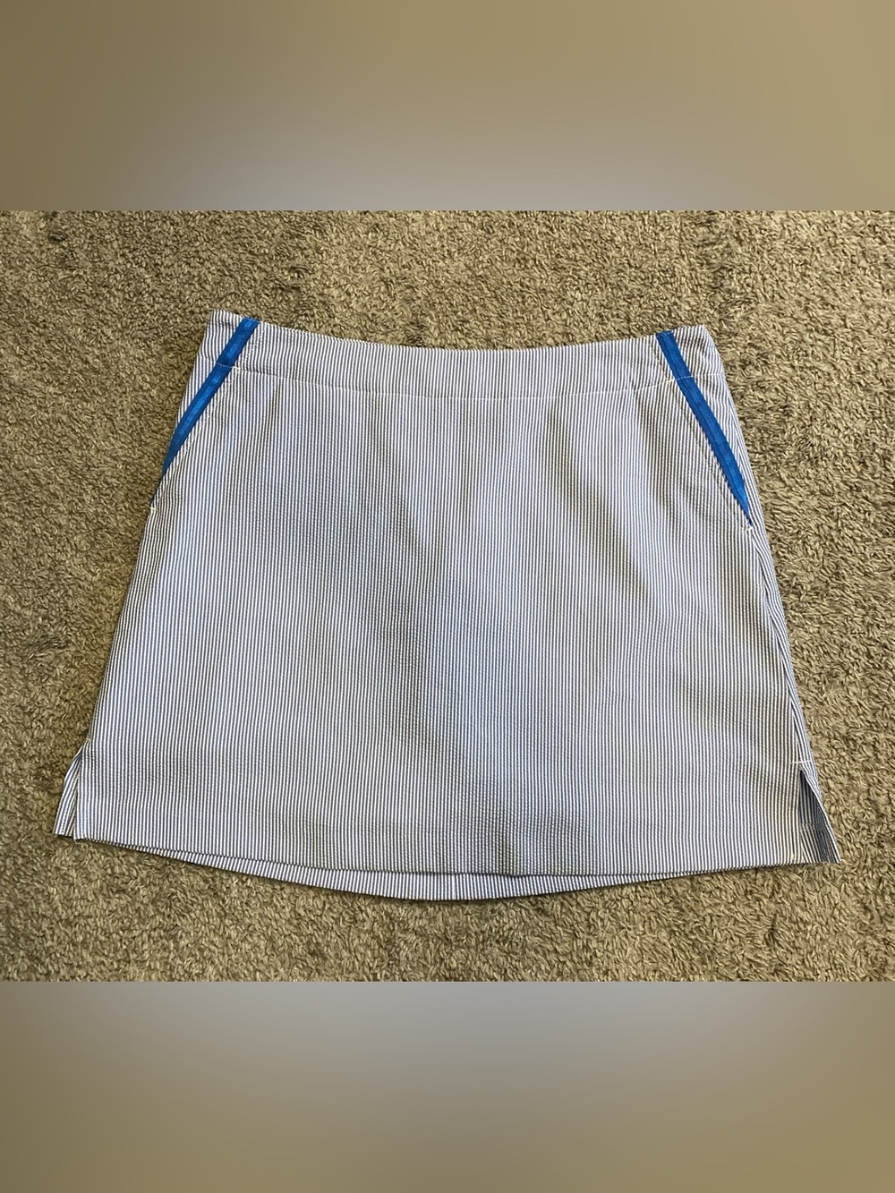 Lady Hagen Blue and White Striped Skirt